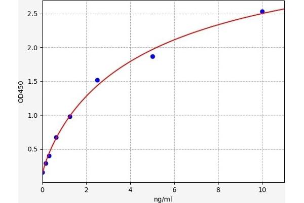 Caspase 4 ELISA Kit