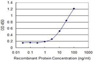 Detection limit for recombinant GST tagged CCDC115 is 0. (CCDC115 antibody  (AA 1-132))