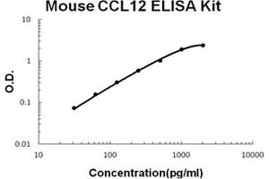 Mouse CCL12/MCP5 Accusignal ELISA Kit Mouse CCL12/MCP5 AccuSignal ELISA Kit standard curve.