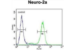 Flow cytometric analysis of Neuro-2a cells using DDX11 Antibody (Center) Cat. (DDX11 antibody  (Middle Region))