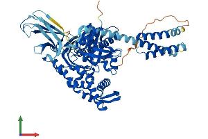 AlphaFold protein structure predicition of Mouse Recombinant Hspa1l Protein, UniprotID P16627