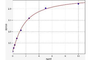 Hepatocyte Growth Factor (Hepapoietin A, Scatter Factor) (HGF) ELISA Kit