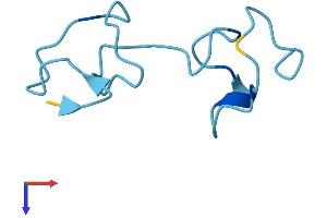 MT2 Protein (AA 1-61) (Fc Tag)
