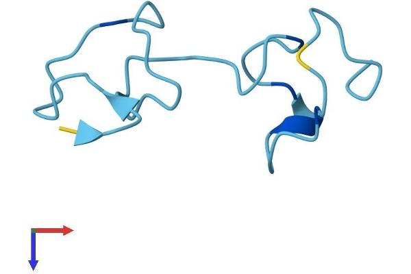 MT2 Protein (AA 1-61) (Fc Tag)