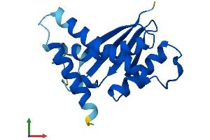 Protein Structure (PS) image for Trafficking Protein Particle Complex 6B (TRAPPC6B) (AA 1-158) protein (His tag) (ABIN7544704)