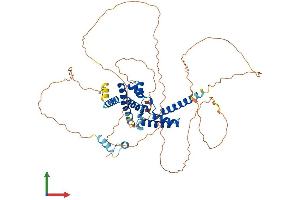 AlphaFold protein structure predicition of Mouse Recombinant Hnf1b Protein, UniprotID P27889
