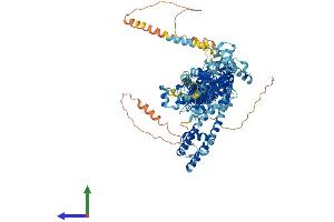 AlphaFold protein structure predicition of Mouse Recombinant Trpc6 Protein, UniprotID Q61143