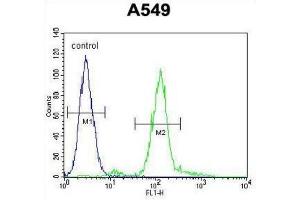 Flow Cytometry (FACS) image for anti-Zinc Finger E-Box Binding Homeobox 1 (ZEB1) antibody (ABIN2906392)