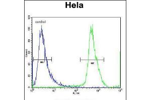 Flow cytometric analysis of Hela cells (right histogram) compared to a negative control cell (left histogram). (NUP35 antibody  (C-Term))