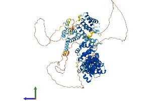 Protein Structure (PS) image for Eukaryotic Translation Initiation Factor 4 gamma 2 (EIF4G2) (AA 1-907) protein (His tag) (ABIN7554171)