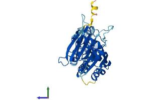 AlphaFold protein structure predicition of Human Recombinant RPP40 Protein, UniprotID O75818