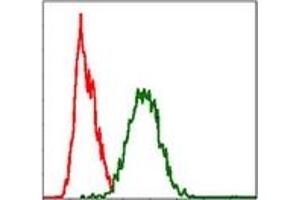Flow Cytometry (FACS) image for anti-TNF Receptor Superfamily, Member 6 (FAS) antibody (ABIN1106616) (FAS antibody)