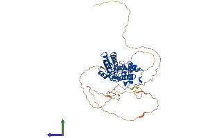 AlphaFold protein structure predicition of Mouse Recombinant Eya3 Protein, UniprotID P97480 (EYA3 Protein (AA 1-510) (His tag))