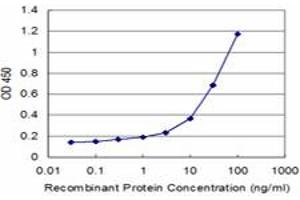 Detection limit for recombinant GST tagged STCH is approximately 1ng/ml as a capture antibody. (HSPA13 antibody  (AA 375-470))