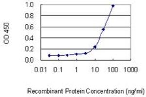 Detection limit for recombinant GST tagged PRPF4B is 1 ng/ml as a capture antibody. (PRPF4B antibody  (AA 898-1005))