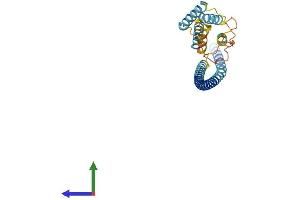 Protein Structure (PS) image for Ubiquitin-Conjugating Enzyme E2Z (UBE2Z) (AA 1-259) protein (His tag) (ABIN7545036)
