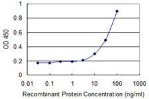 Detection limit for recombinant GST tagged SLC25A5 is 3 ng/ml as a capture antibody. (SLC25A5 antibody  (AA 1-298))