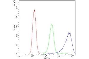Flow cytometry testing of human A431 cells with Calpastatin antibody at 1ug/10^6 cells (blocked with goat sera) (Calpastatin antibody  (AA 275-310))