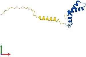 AlphaFold protein structure predicition of Human Recombinant DPY30 Protein, UniprotID Q9C005