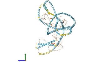 AlphaFold protein structure predicition of Human Recombinant SFI1 Protein, UniprotID A8K8P3 (SFI1 Protein (AA 1-1242) (His tag))