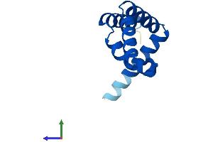 AlphaFold protein structure predicition of Human Recombinant ENY2 Protein, UniprotID Q9NPA8 (ENY2 Protein (AA 1-101) (His tag))