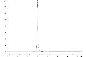 Size-exclusion chromatography-High Pressure Liquid Chromatography (SEC-HPLC) image for Tumor Necrosis Factor Receptor Superfamily, Member 8 (TNFRSF8) (AA 19-379) protein (Fc Tag) (ABIN7274148)