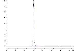 The purity of Human CD30 is greater than 95 % as determined by SEC-HPLC. (TNFRSF8 Protein (AA 19-379) (Fc Tag))