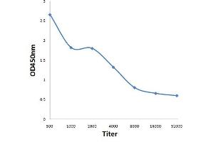 Antigen: 0. (Retinoblastoma 1 antibody  (pThr821))