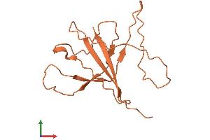 AlphaFold protein structure predicition of Human Recombinant KIAA0087 Protein, UniprotID Q14695