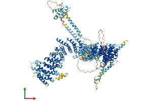 AlphaFold protein structure predicition of Mouse Recombinant Ncapd2 Protein, UniprotID Q8K2Z4 (NCAPD2 Protein (AA 1-1392) (His tag))