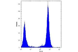 TLR4 antibody flow cytometric analysis of U251 cells (right histogram) compared to a negative control (left histogram). (TLR4 antibody  (AA 669-698))