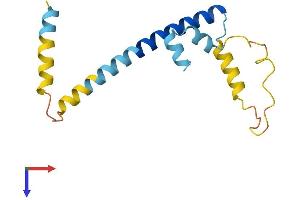CPLX2 Protein (AA 1-134) (His tag)