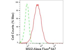 Flow cytometric analysis of MSI2 expression in HepG2 cells using MSI2 antibody (ABIN7799495), 1:2,000). (Recombinant MSI2 antibody)