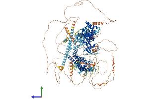 AlphaFold protein structure predicition of Human Recombinant FHOD3 Protein, UniprotID Q2V2M9 (FHOD3 Protein (AA 1-1422) (His tag))