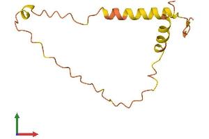 AlphaFold protein structure predicition of Human Recombinant BLID Protein, UniprotID Q8IZY5 (BLID Protein (AA 1-108) (His tag))