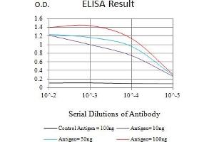 Black line: Control Antigen (100 ng),Purple line: Antigen (10 ng), Blue line: Antigen (50 ng), Red line:Antigen (100 ng) (NEFH antibody  (AA 2-251))