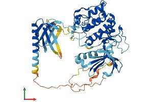 Protein Structure (PS) image for V-Akt Murine Thymoma Viral Oncogene Homolog 1 (AKT1) (AA 1-480) protein (His tag) (ABIN7552139)