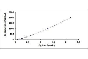 Typical standard curve (DCXR ELISA Kit)