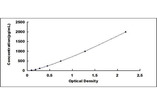 DCXR ELISA Kit