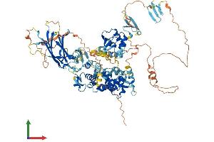 AlphaFold protein structure predicition of Mouse Recombinant Nedd4 Protein, UniprotID P46935 (NEDD4 Protein (AA 1-887) (His tag))