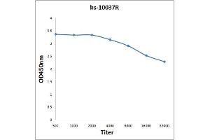 Antigen: 2 µg/100 µL  Primary: Antiserum, 1:500, 1:1000, 1:2000, 1:4000, 1:8000, 1:16000, 1:32000;  Secondary: HRP conjugated Rabbit Anti-Goat IgG at 1: 5000;  TMB staining Read the data in Microplate Reader by 450nm. (NFKB2 antibody  (AA 151-250))