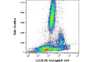 Flow cytometry surface staining pattern of human peripheral whole blood stained using anti-human CD38 (HIT2) PE-DyLight® 594 (4 μL reagent / 100 μL of peripheral whole blood). (CD38 antibody  (PE-DyLight 594))