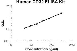 Human CD32/FCGR2b/c PicoKine ELISA Kit standard curve