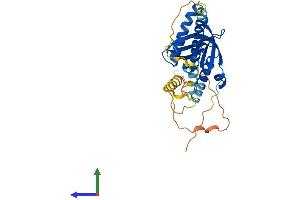 AlphaFold protein structure predicition of Mouse Recombinant Gulp1 Protein, UniprotID Q8K2A1 (GULP1 Protein (AA 1-304) (His tag))