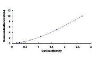 ELISA image for Cytochrome P450, Family 1, Subfamily A, Polypeptide 1 (CYP1A1) ELISA Kit (ABIN1383658)