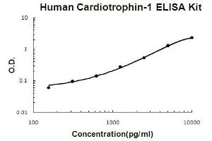 Human Cardiotrophin-1 Accusignal ELISA Kit Human Cardiotrophin-1 AccuSignal ELISA Kit standard curve. (Cardiotrophin 1 ELISA Kit)