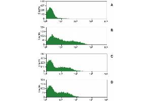 Surface staining of lysed and washed porcine peripheral blood with purified anti-CD16 (MEM-168) (detection by anti-mouse IgM FITC). (CD16 antibody)