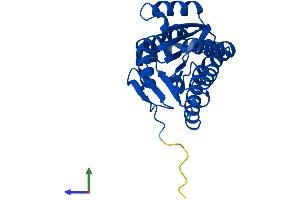 AlphaFold protein structure predicition of Human Recombinant HPGD Protein, UniprotID P15428