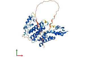 AlphaFold protein structure predicition of Mouse Recombinant Sac3d1 Protein, UniprotID A6H687
