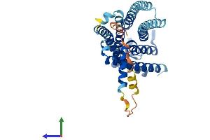 AlphaFold protein structure predicition of Human Recombinant GPR78 Protein, UniprotID Q96P69